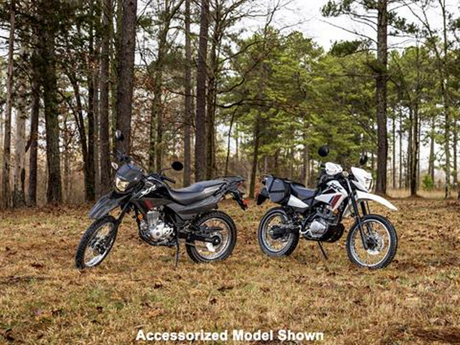 2025 Honda XR150L