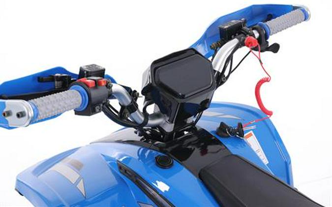 2026 Denago Powersports E-Hawk 6