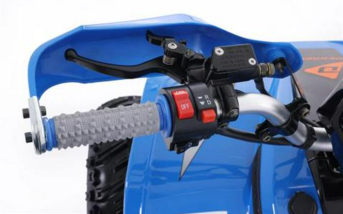 2026 Denago Powersports E-Hawk 6