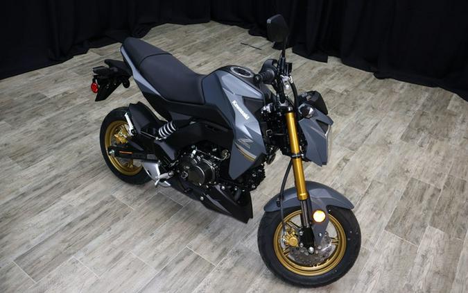 2024 Kawasaki Z125 PRO