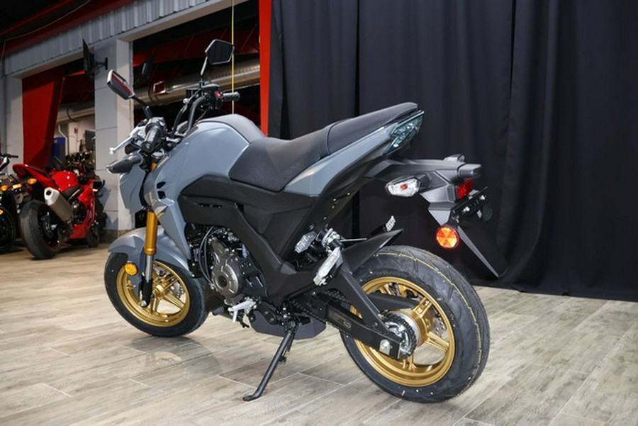 2024 Kawasaki Z125 PRO