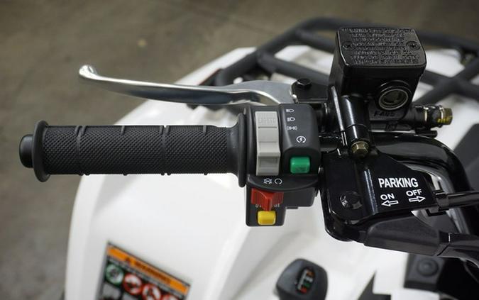 2025 Kawasaki Brute Force 450 4x4