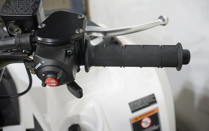 2025 Kawasaki Brute Force 450 4x4