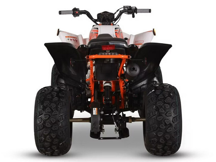 2026 Kayo Storm 150 EFI