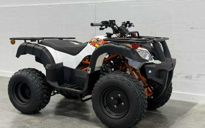 2026 KAYO Bull 150 EFI