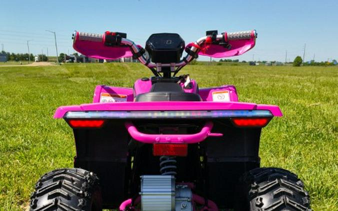2026 Denago Powersports E-Hawk 6