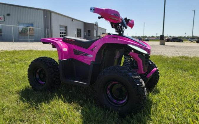 2026 Denago Powersports E-Hawk 6