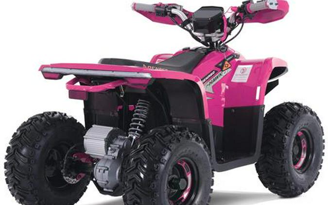 2026 Denago Powersports E-Hawk 6