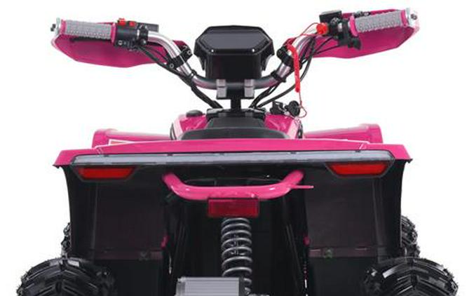 2026 Denago Powersports E-Hawk 6
