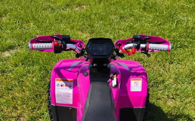 2026 Denago Powersports E-Hawk 6