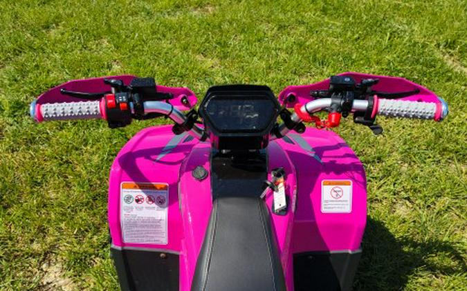 2026 Denago Powersports E-Hawk 6