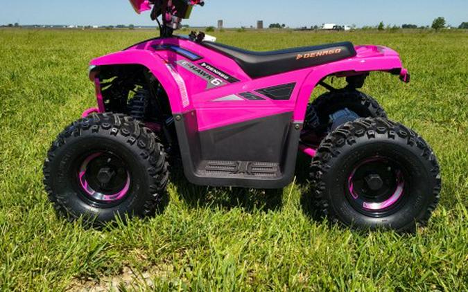 2026 Denago Powersports E-Hawk 6