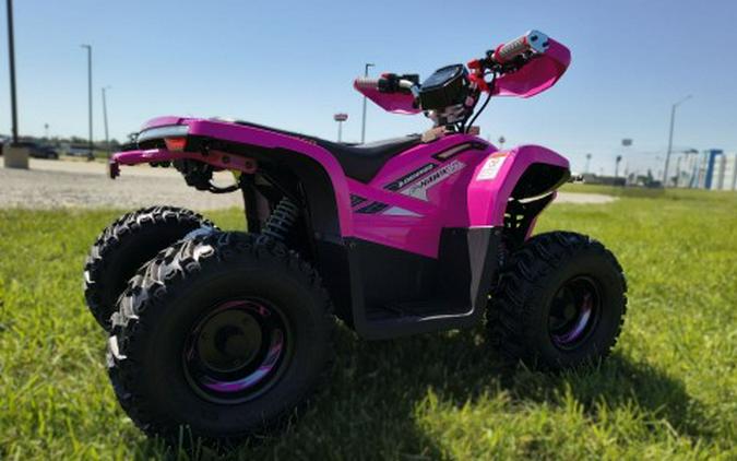 2026 Denago Powersports E-Hawk 6