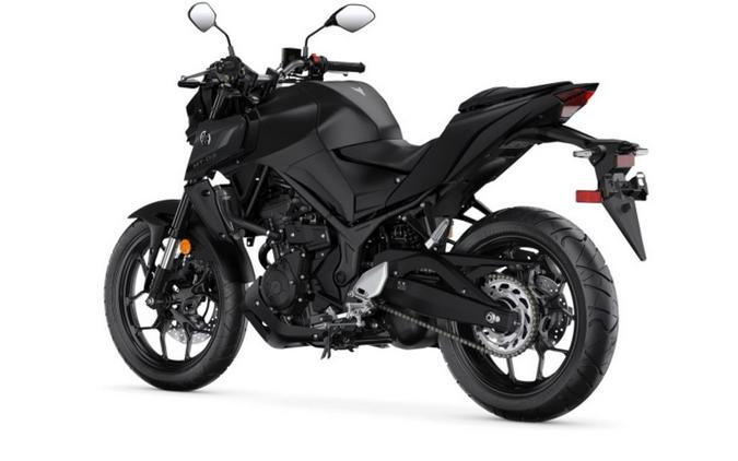 2024 Yamaha MT 03