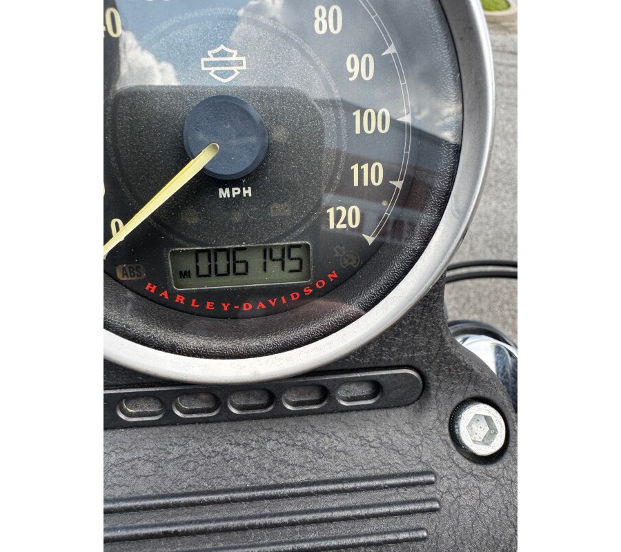 2015 Harley-Davidson® Iron 883™ Custom Paint