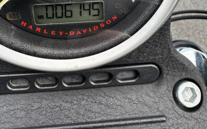 2015 Harley-Davidson® Iron 883™ Custom Paint