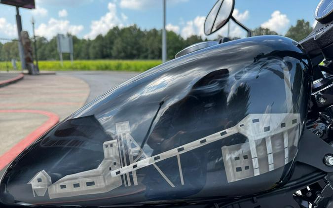 2015 Harley-Davidson® Iron 883™ Custom Paint