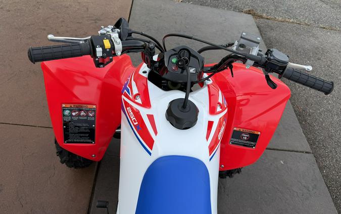2026 Honda TRX250X