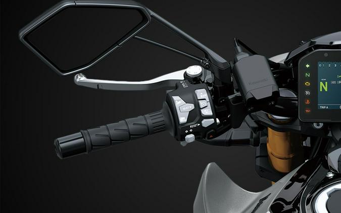 2026 Kawasaki Z1100 SE ABS