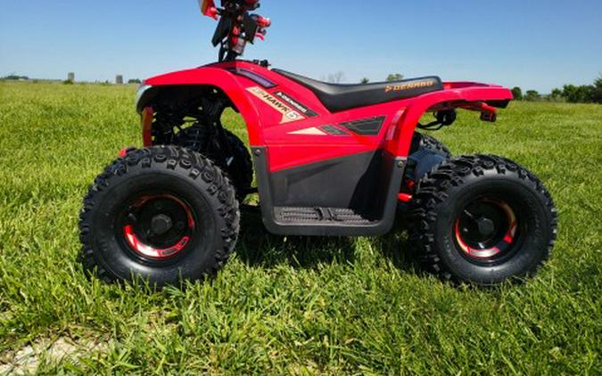 2026 Denago Powersports E-Hawk 6