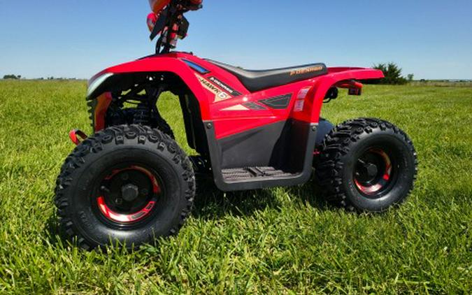 2026 Denago Powersports E-Hawk 6