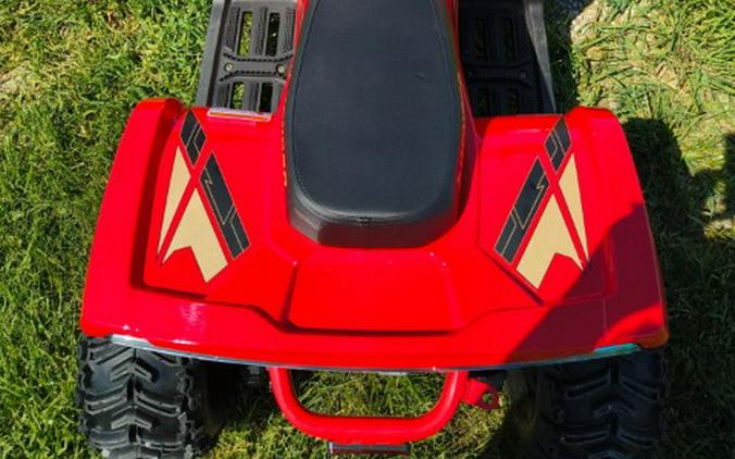 2026 Denago Powersports E-Hawk 6