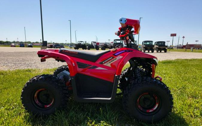 2026 Denago Powersports E-Hawk 6