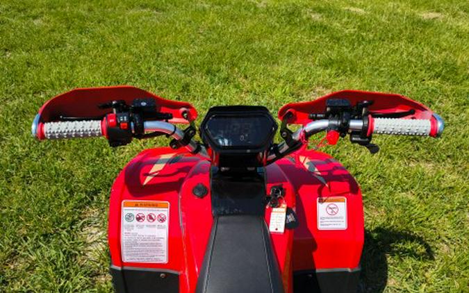 2026 Denago Powersports E-Hawk 6