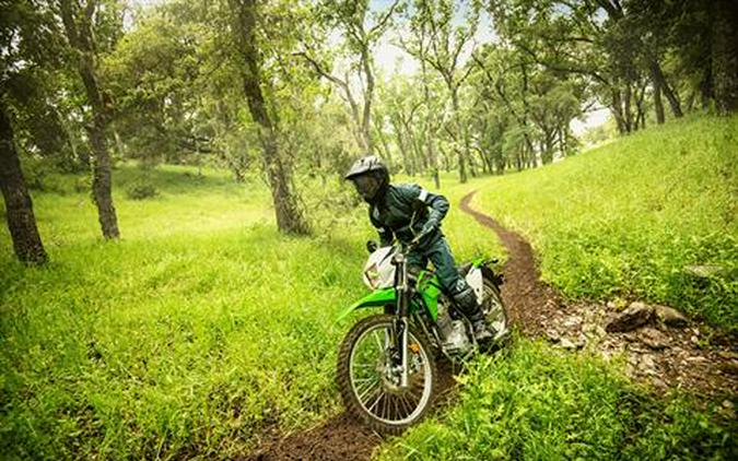 2021 Kawasaki KLX 230