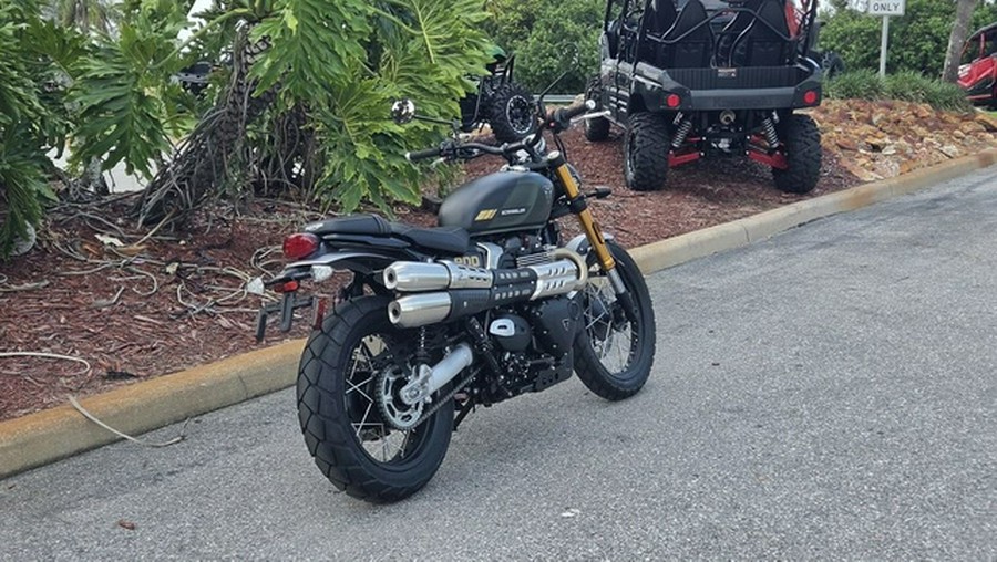 2026 Triumph Scrambler 900 Matt khaki green