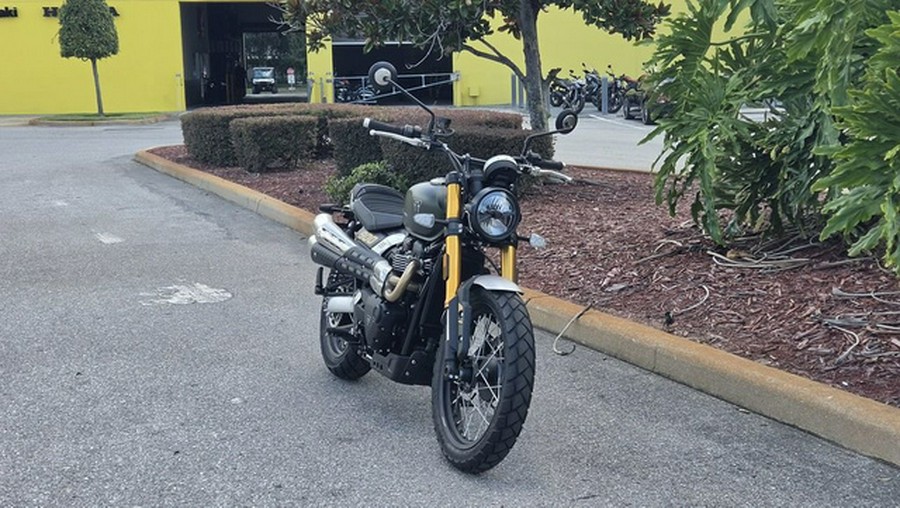 2026 Triumph Scrambler 900 Matt khaki green