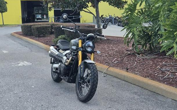 2026 Triumph Scrambler 900 Matt khaki green