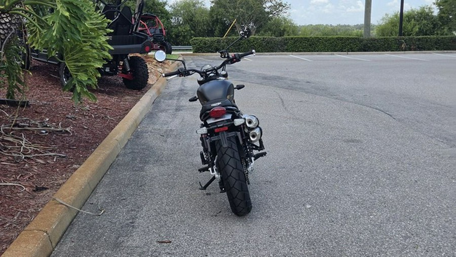 2026 Triumph Scrambler 900 Matt khaki green