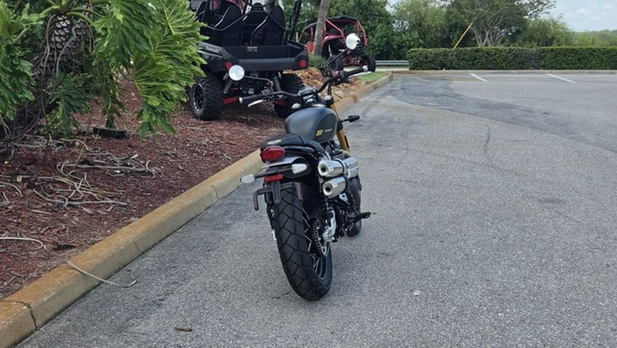 2026 Triumph Scrambler 900 Matt khaki green