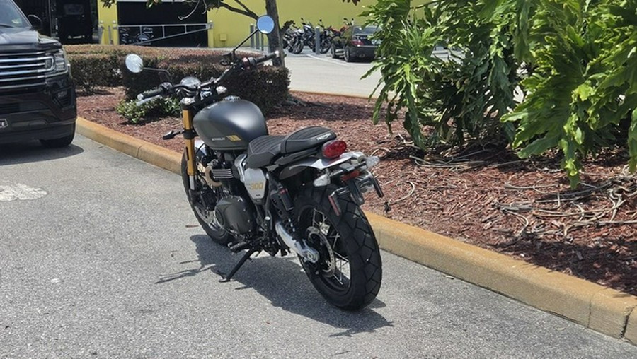 2026 Triumph Scrambler 900 Matt khaki green