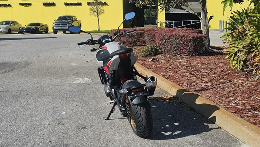 2026 Triumph Trident 800 Ash grey 800 Jet Black