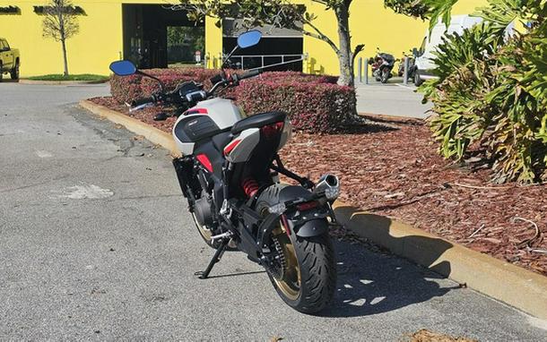 2026 Triumph Trident 800 Ash grey 800 Jet Black
