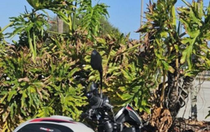 2026 Triumph Trident 800 Ash grey 800 Jet Black