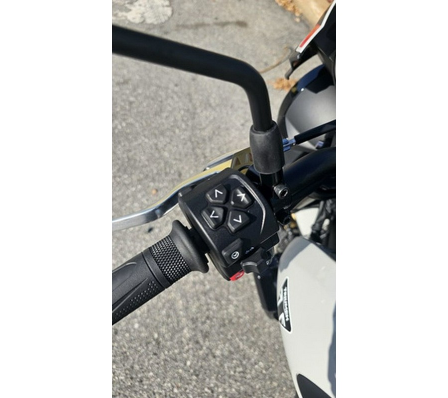 2026 Triumph Trident 800 Ash grey 800 Jet Black