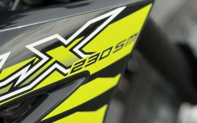 2027 Kawasaki KLX233FVFNL 230SM ABS