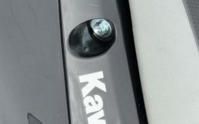 2027 Kawasaki KLX233FVFNL 230SM ABS