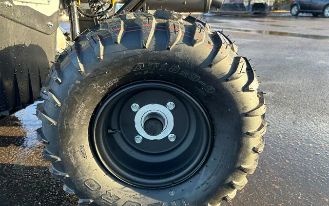 2026 Yamaha Grizzly 110