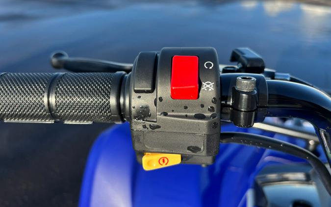 2026 Yamaha Grizzly 110
