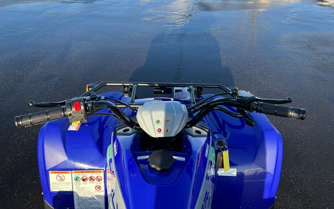 2026 Yamaha Grizzly 110