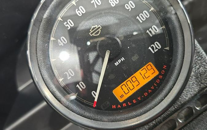 XL 1200NS 2020 Iron 1200™