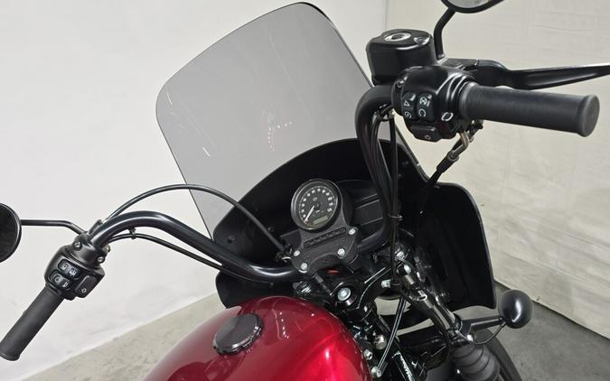 XL 1200NS 2020 Iron 1200™