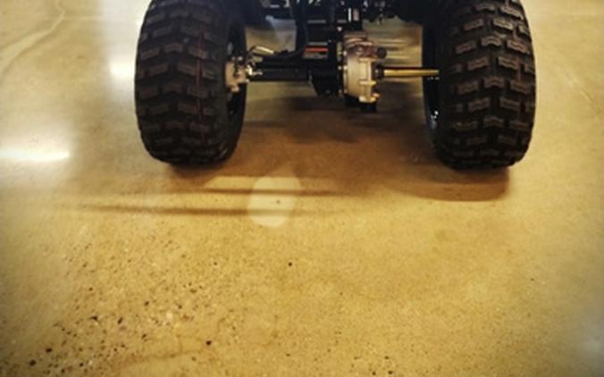 2026 Kawasaki Brute Force 300