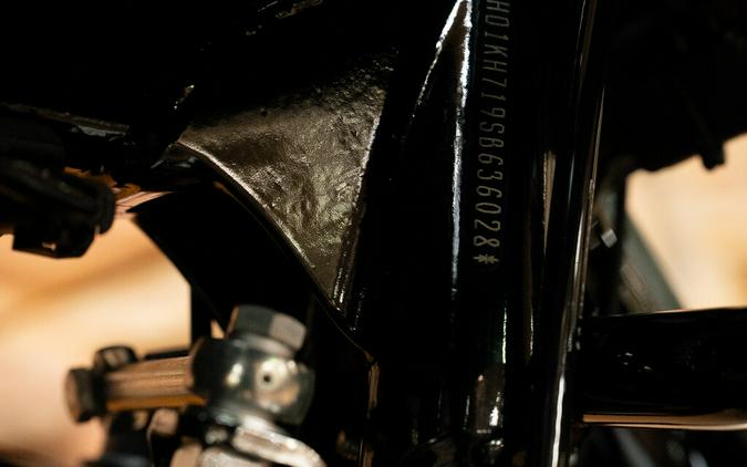 2025 Harley-Davidson Road Glide Grand American Touring