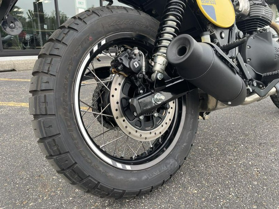 New 2026 Royal Enfield INT650 BEAR