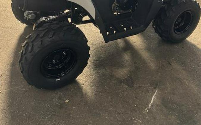 2027 Kawasaki KFX®50